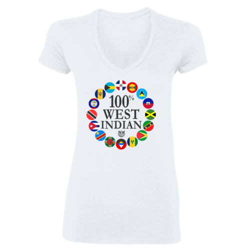 100% - Gildan Softstyle® Women’s V-Neck T-Shirt Thumbnail