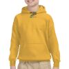 Youth Heavy Blend™ Hooded Sweatshirt Thumbnail