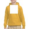 Youth Heavy Blend™ Hooded Sweatshirt Thumbnail